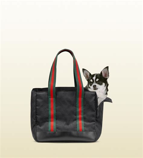 gucci pet products.